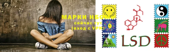 прущая мука Арсеньев