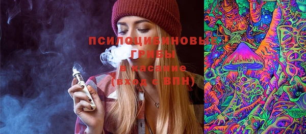 бошки Аркадак