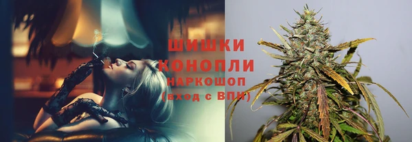 стафф Армянск