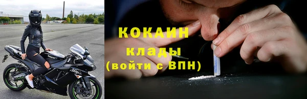 прущая мука Арсеньев